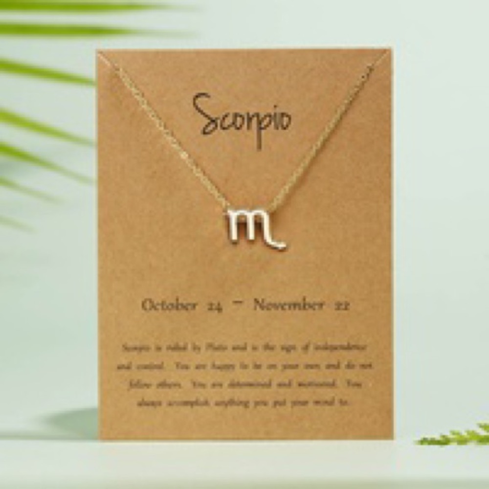 π Zodiac necklace - Picture 3 of 5